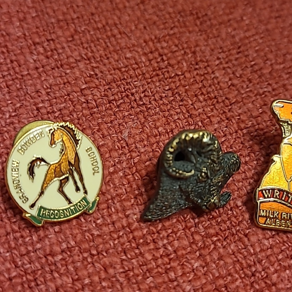 Vintage Pin Collection 17 In Total. - Picture 6 of 8